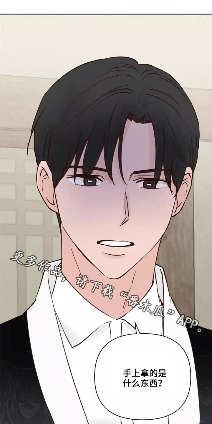 龟兔同行动漫推荐漫画,第50章：协议袋子1图