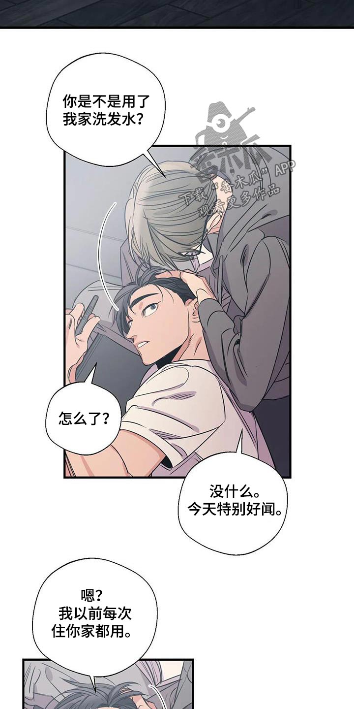 百万医疗险哪个保险公司比较好漫画,第176章：【外传】旅行2图