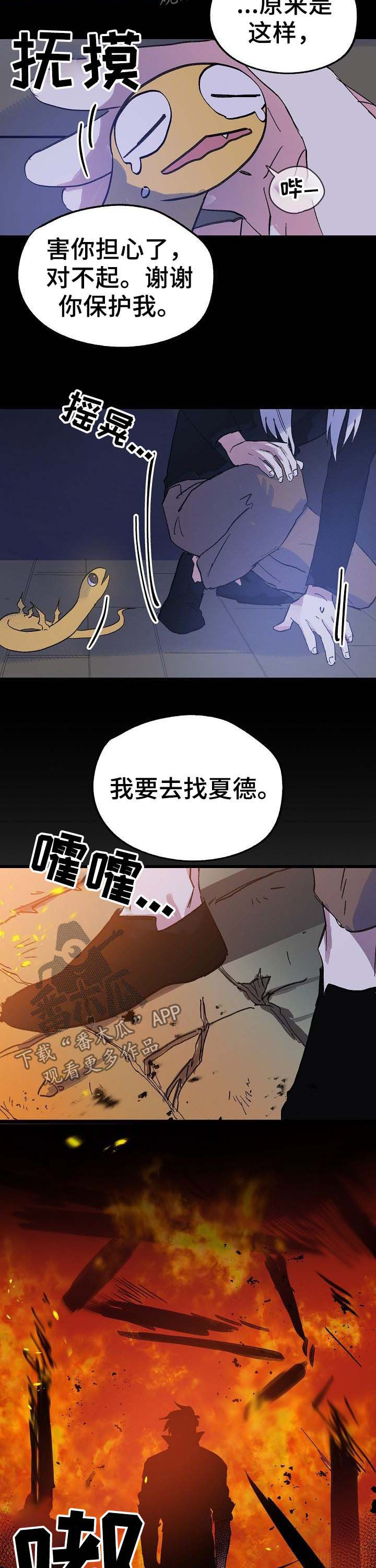 第40章：诅咒1