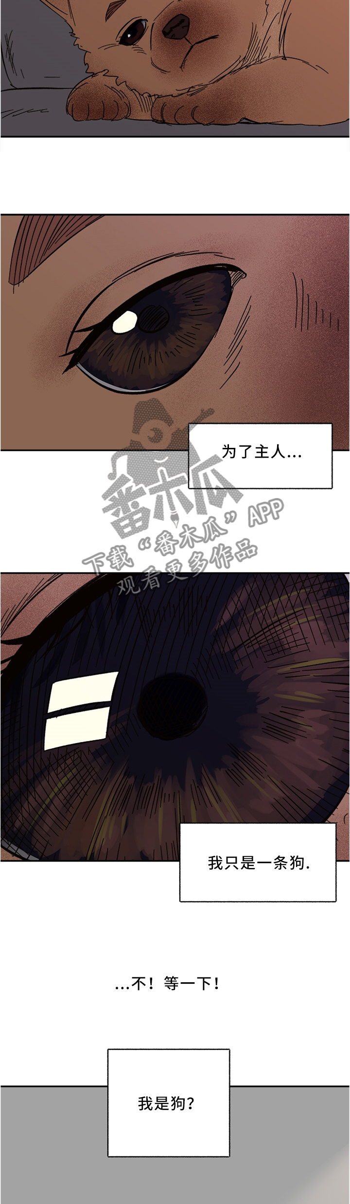 第49章：担心4