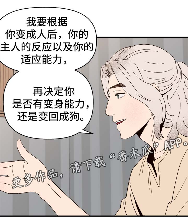 第34章：隐晦4