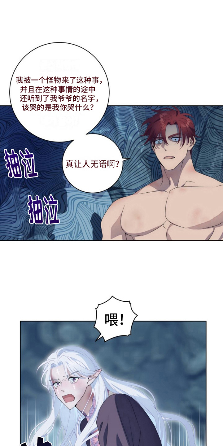 第27章：最美丽的宝物：委托3