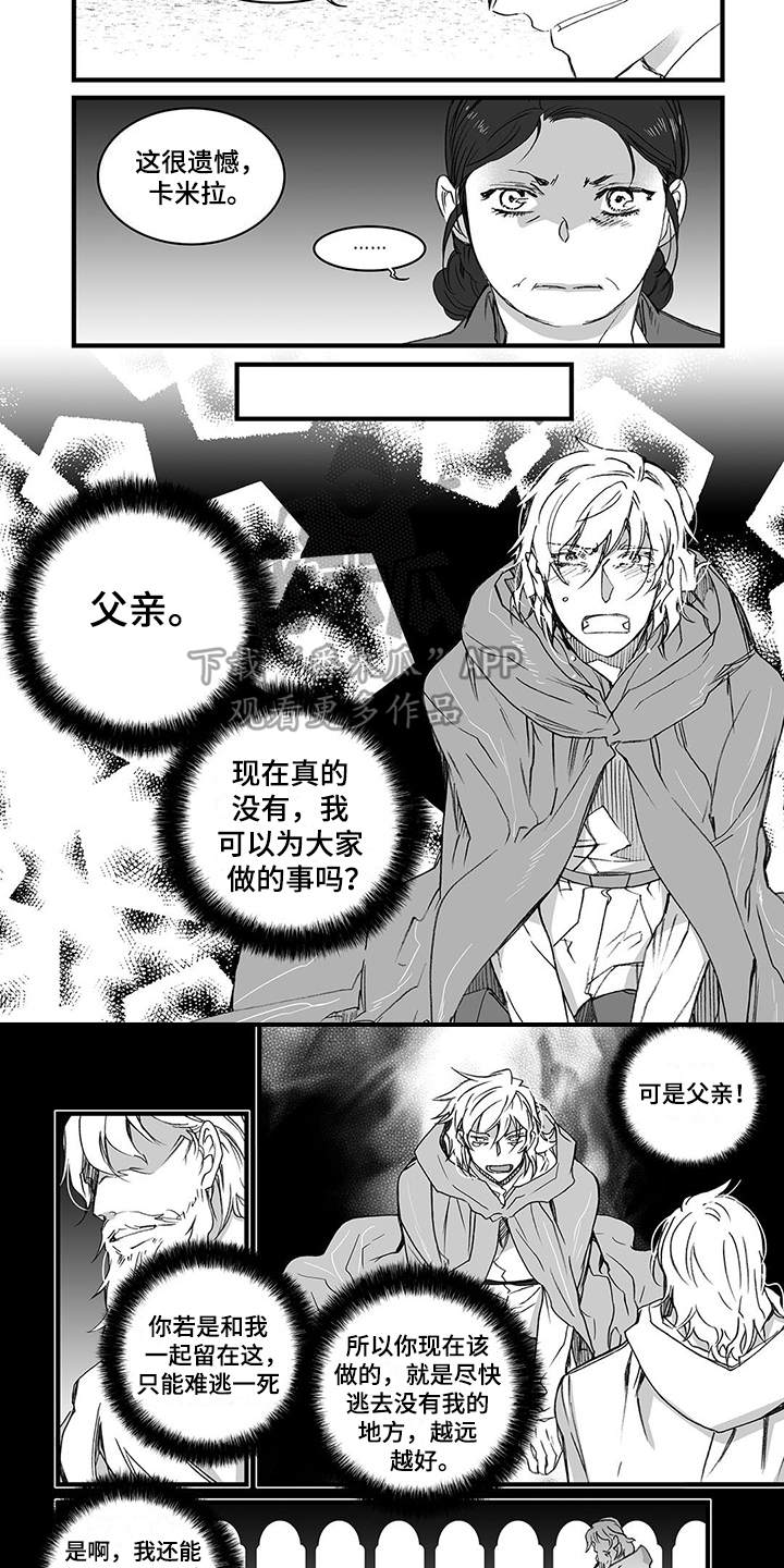 落魄王子与侍卫大结局漫画,第14章：变化4图