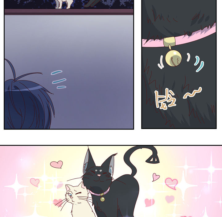 孟婆的汤原唱撕心裂肺漫画,第77章：孟婆会议4图