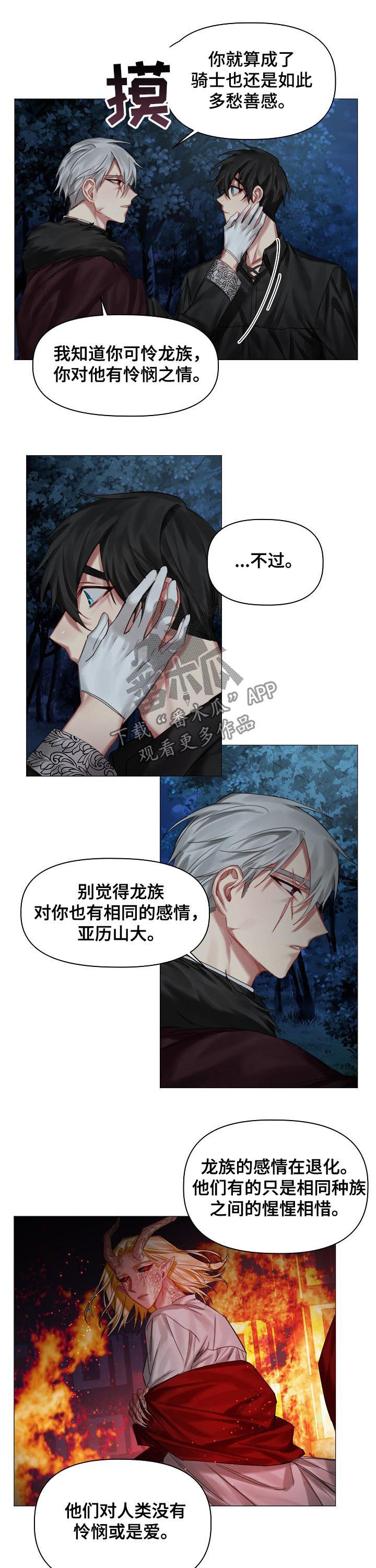 皇家骑士团魔女加入漫画,第33章：没有理由2图