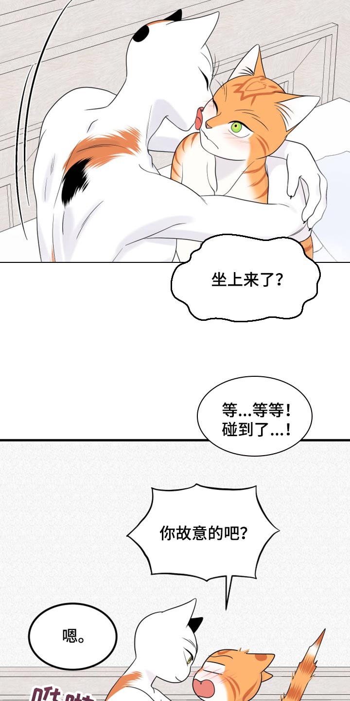 第72章：【第二季】这是折磨啊3