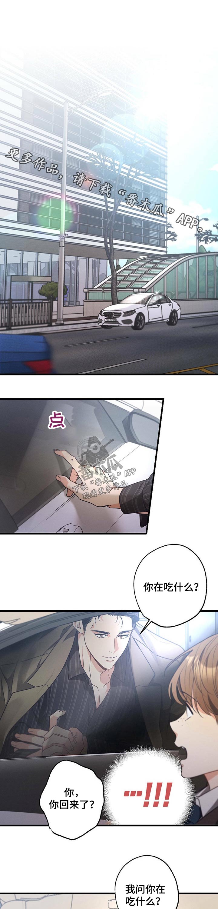 第53章：补品0