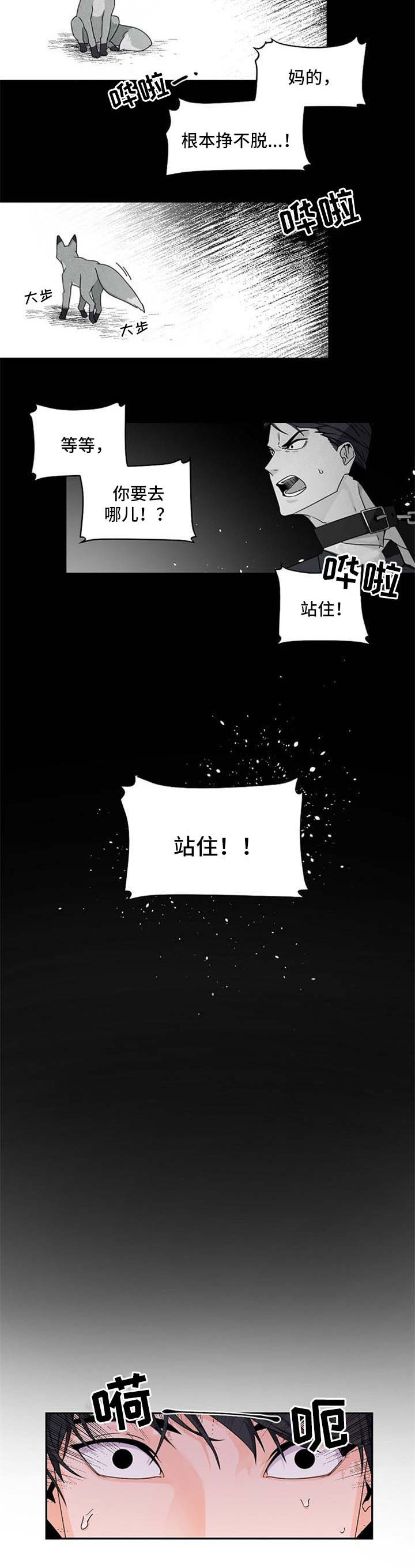 第41章：不对劲3