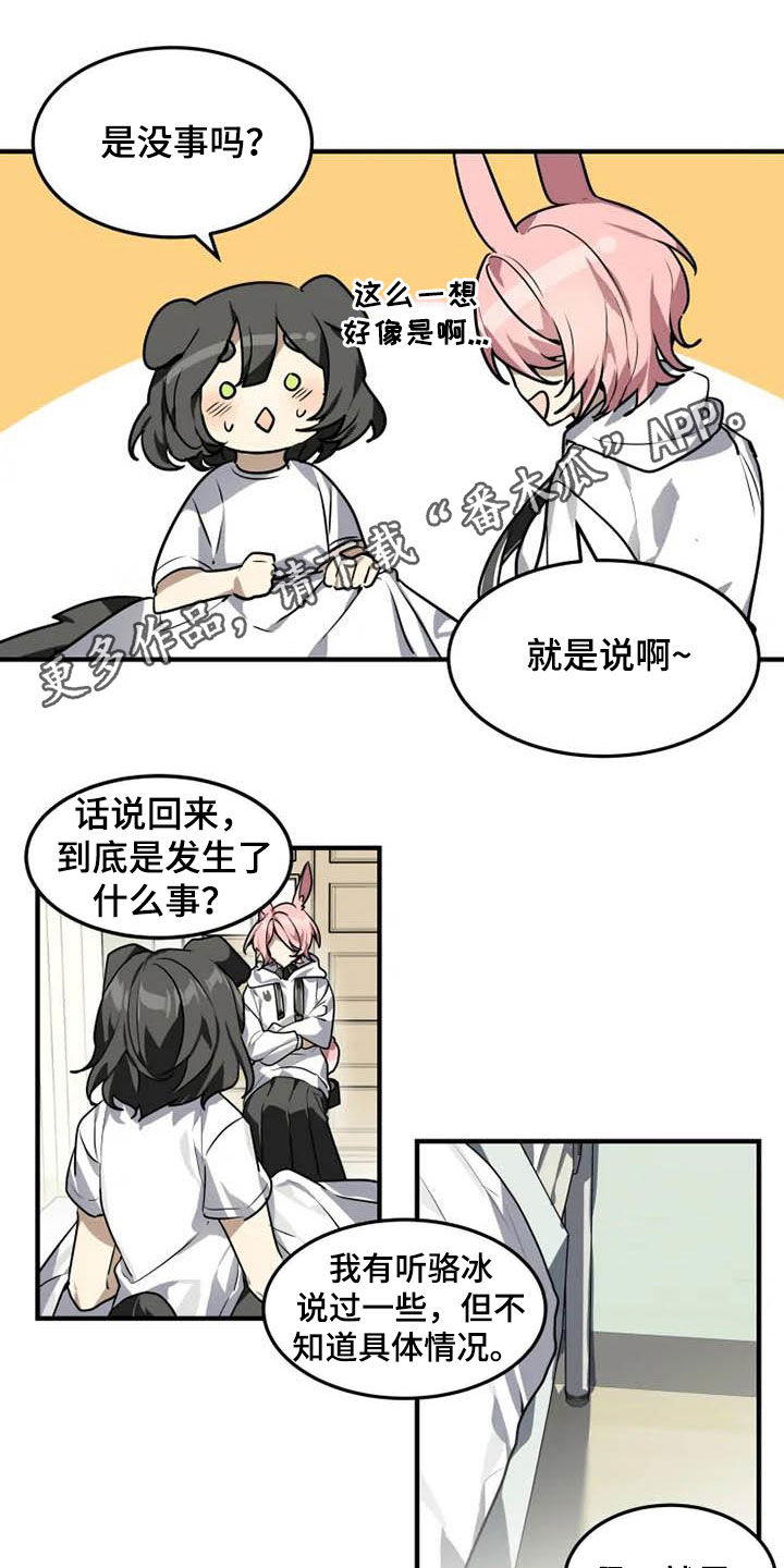 动物图片大全大图漫画,第20章：一群笨蛋1图