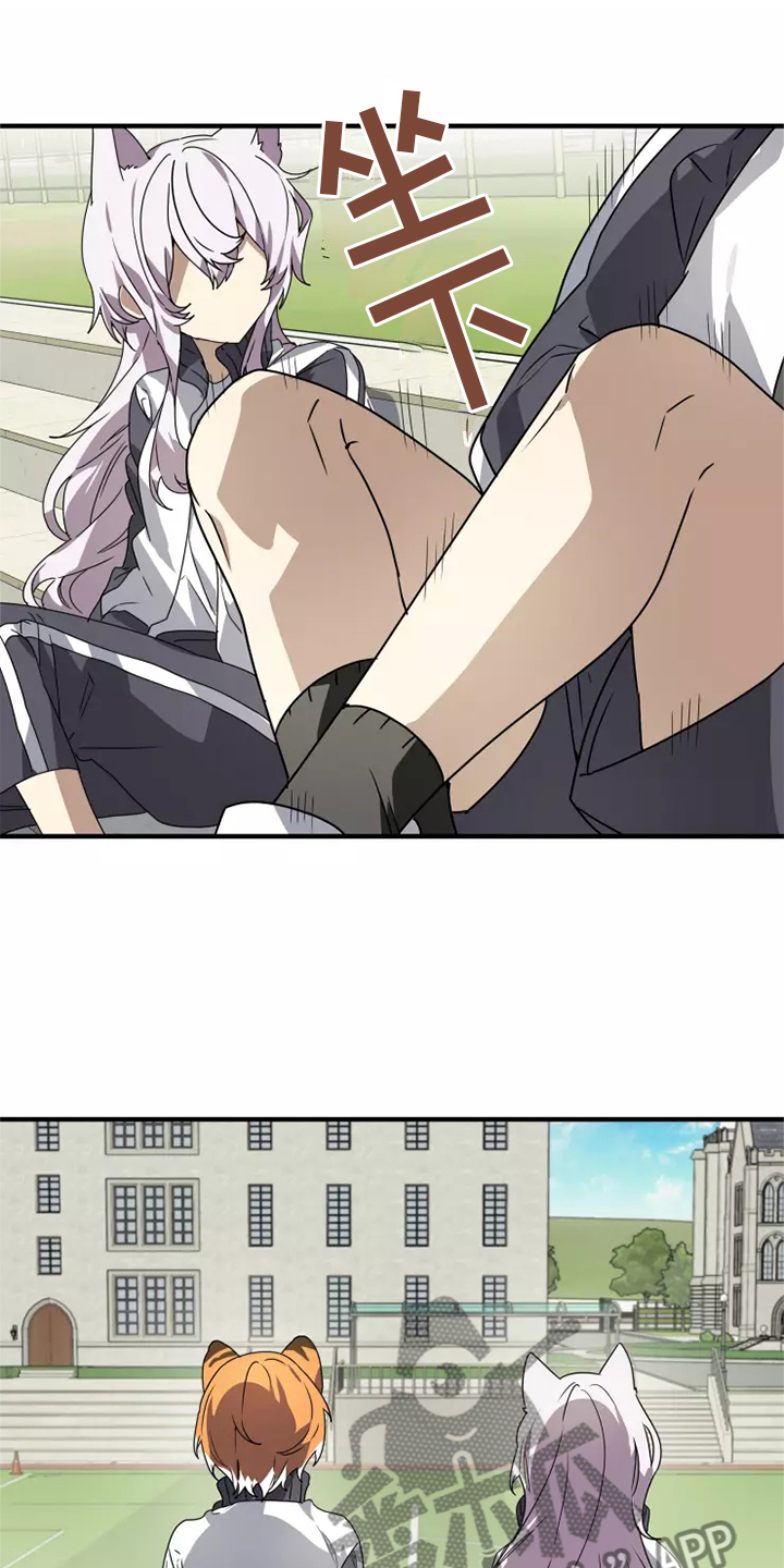 动物小说解说视频完整漫画,第38章：庆典2图
