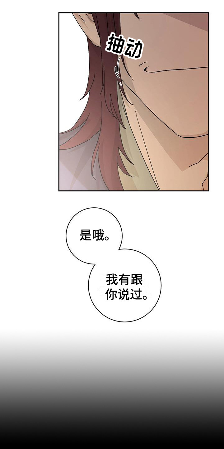 第11章：乐趣3