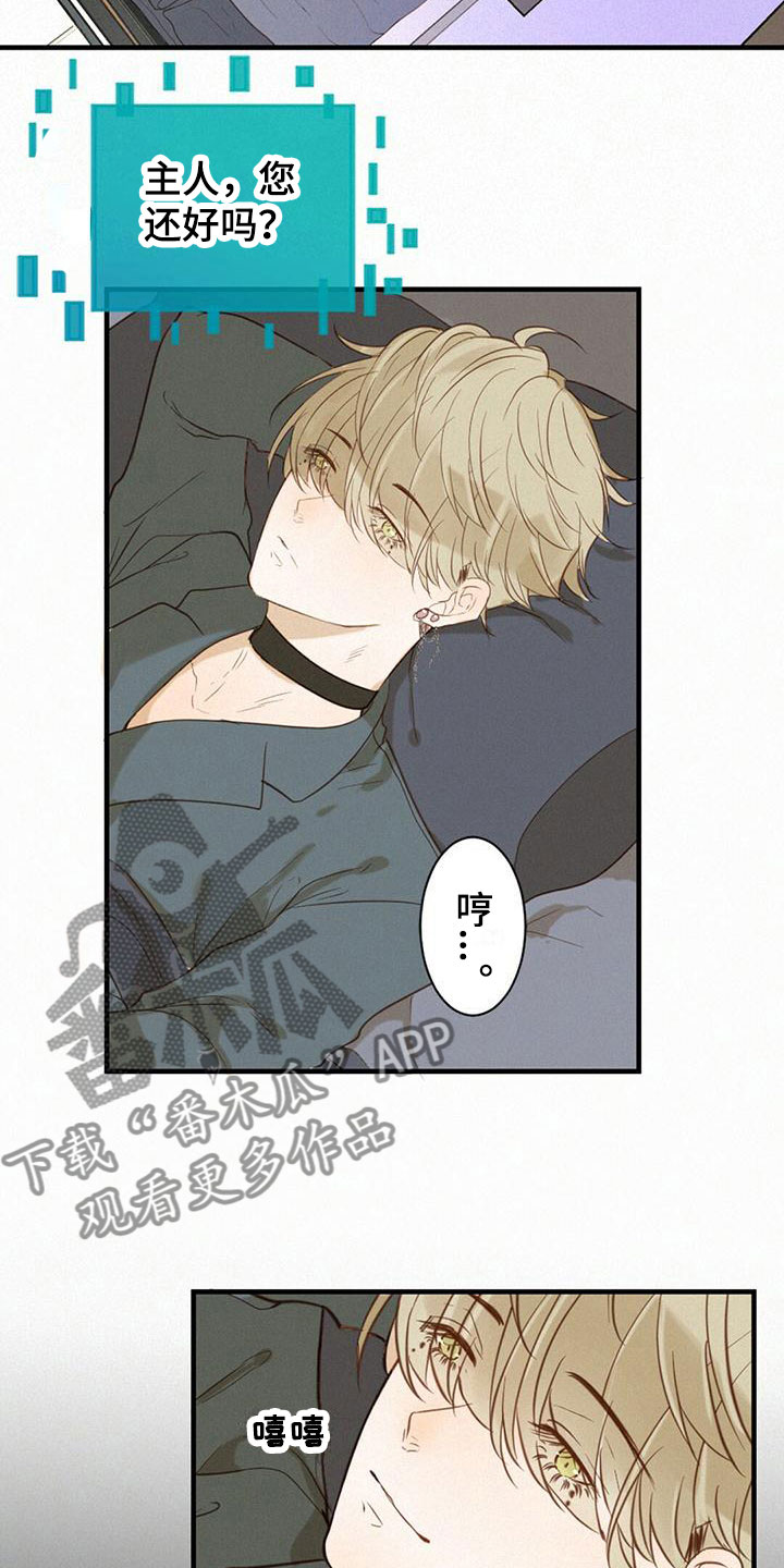 虚实交替的视频漫画,第6章：计划3图