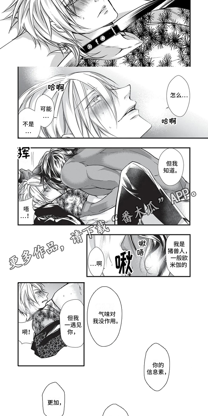 柱状雕刻漫画,第20章：命定伴侣4图