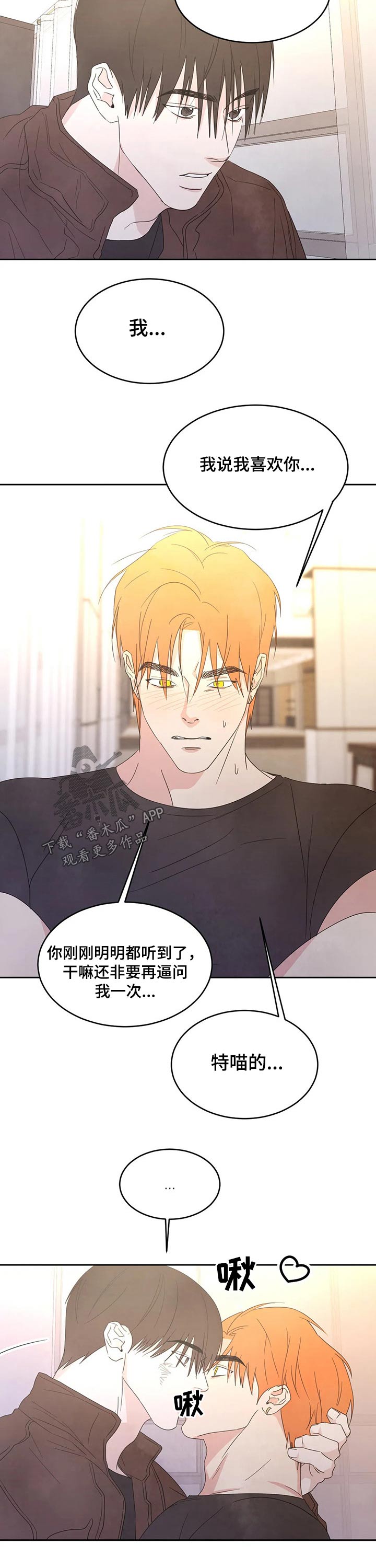 第42章：表白1