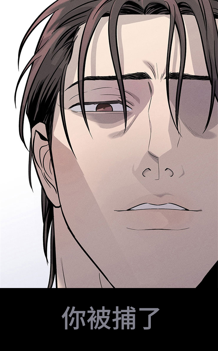 糟糕的夜吻作者是谁漫画,第90章：你被捕了:去巴黎1图