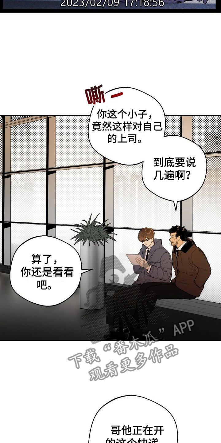 情人节特色花束漫画,第18章：监控3图