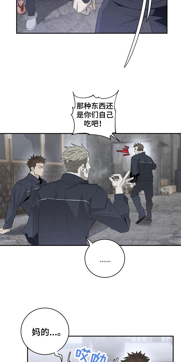 情人节特殊的文案漫画,第44章：混一点药物4图
