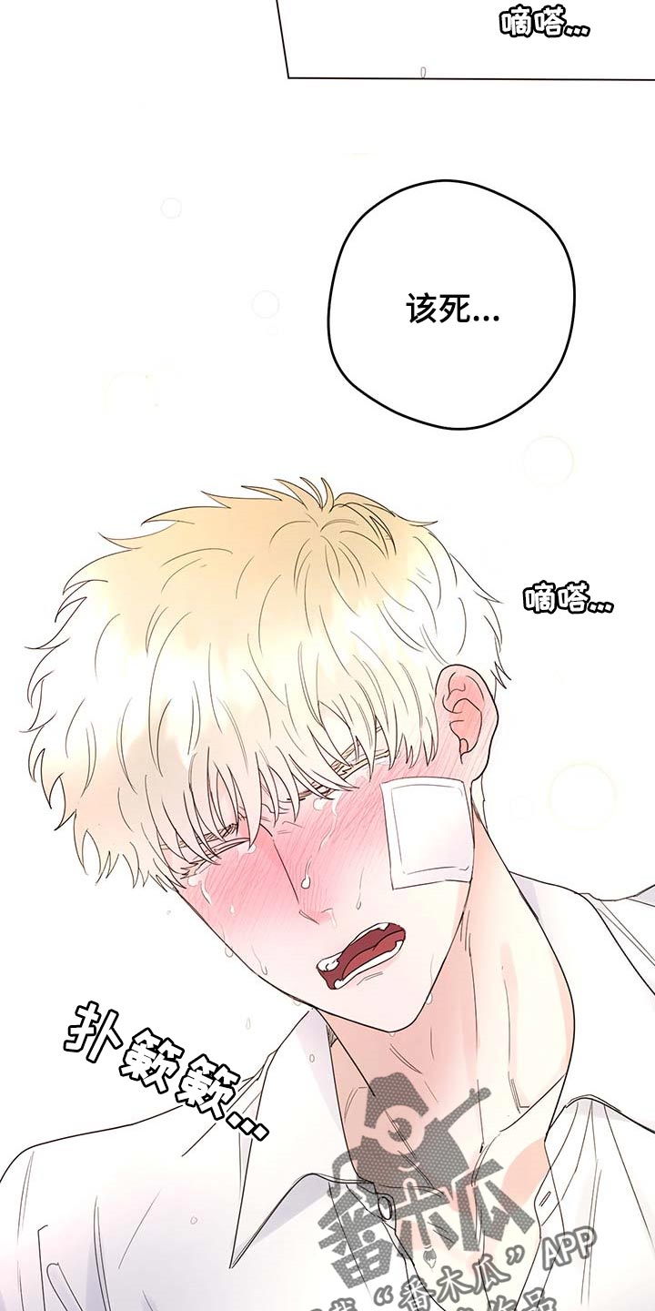 主人的宠物视频漫画,第99章：【第二季】我相信你们3图