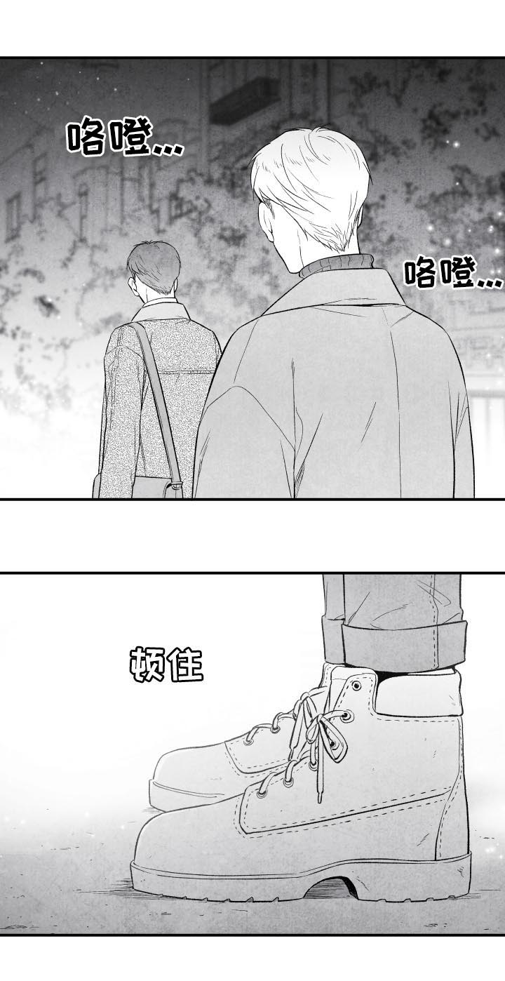 第29章：开心4