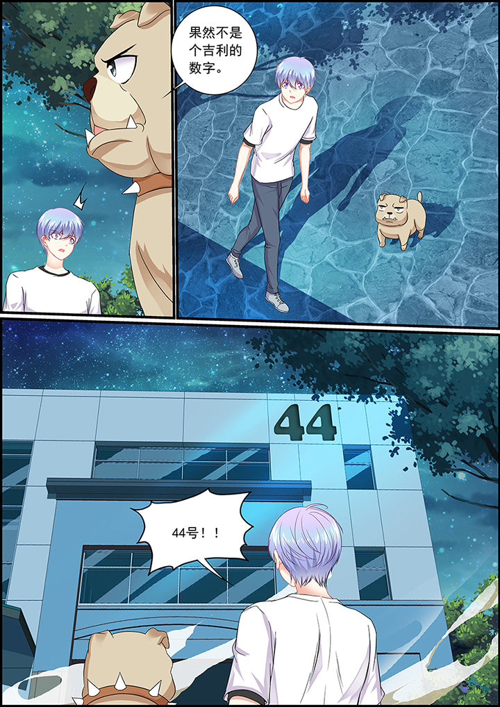 第51章：4