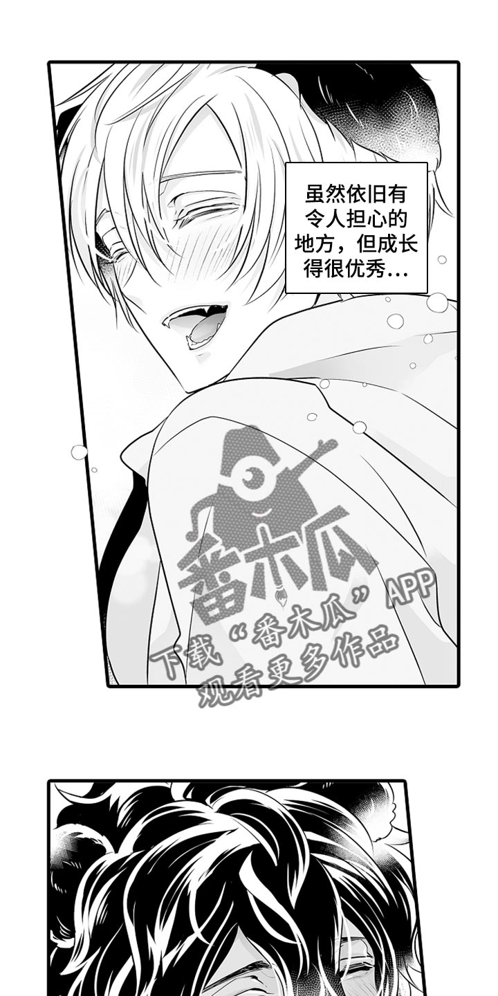 森林中的熊先生漫画免费看漫画,第18章：期待便当1图