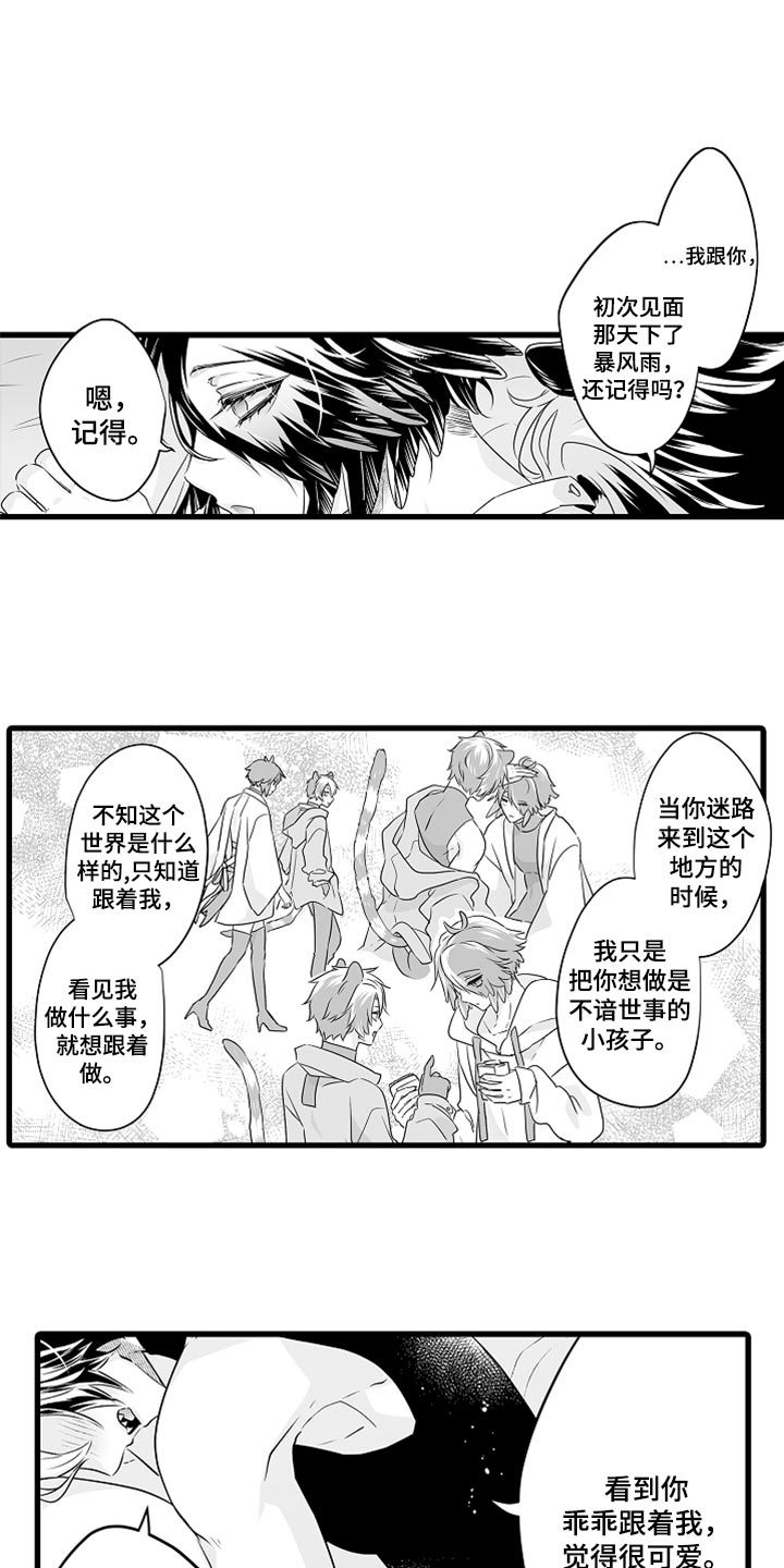 森林中的熊先生漫画16漫画,第44章：我会在这里等你5图