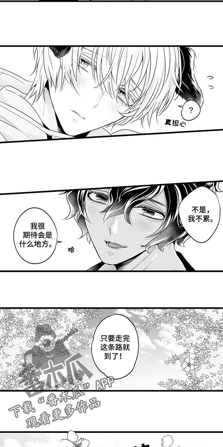 森林中的熊先生漫画免费看漫画,第18章：期待便当3图