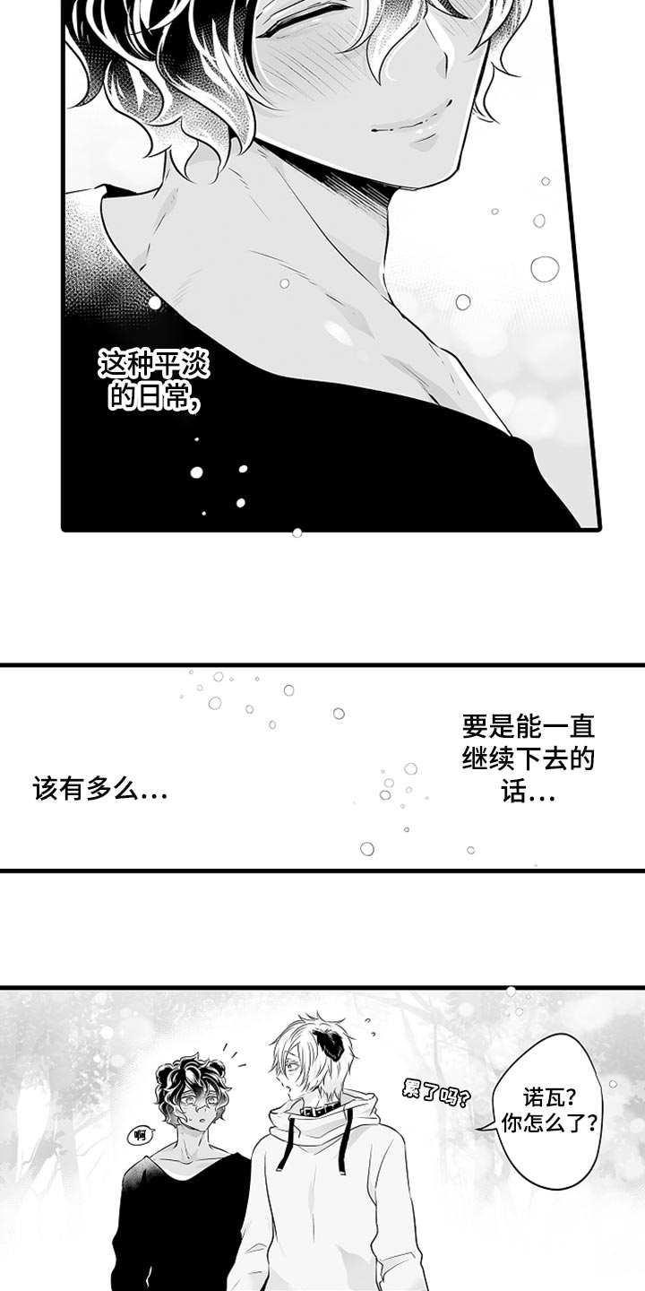 森林中的熊先生漫画免费看漫画,第18章：期待便当2图