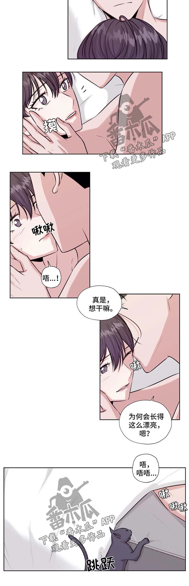 永恒的牢笼漫画漫画,第46章：在这生活吧3图