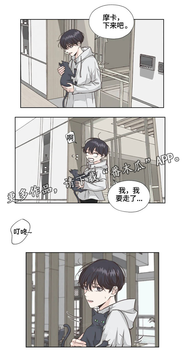 神秘博士永恒牢笼解说漫画,第21章：发现3图