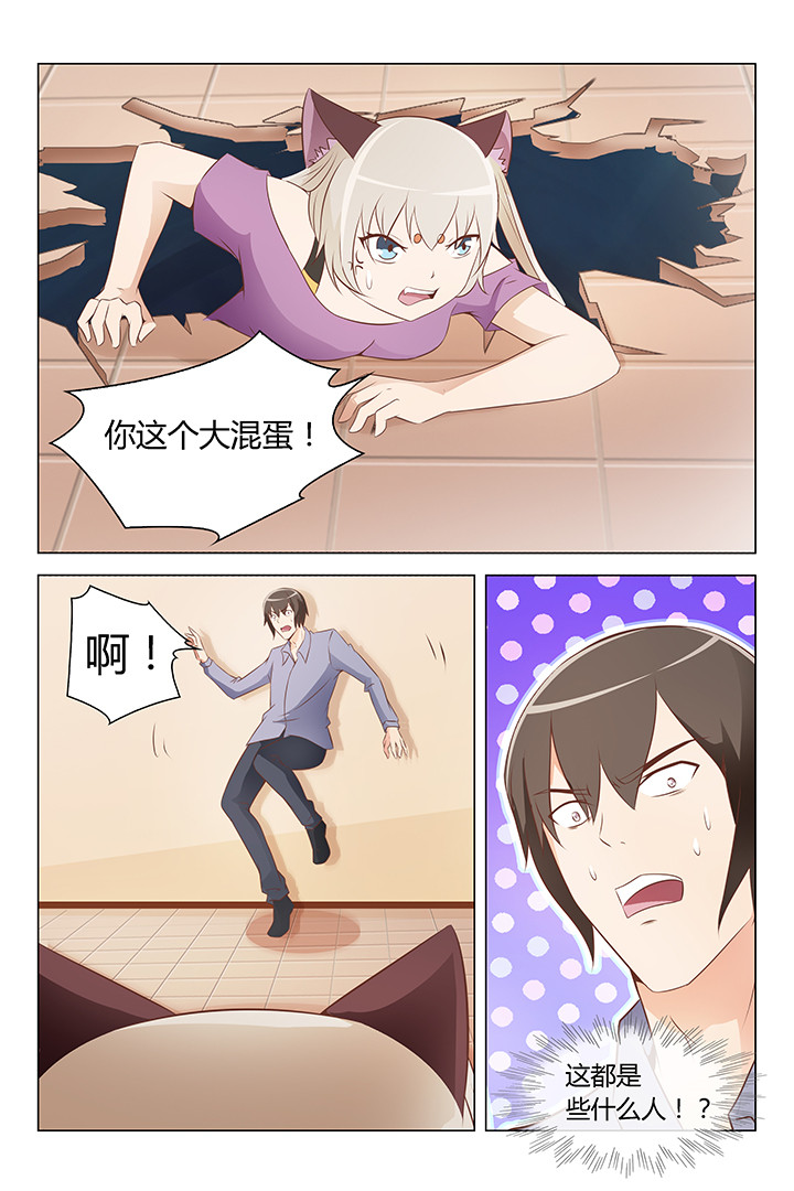 喵星族漫画,第149章：3图