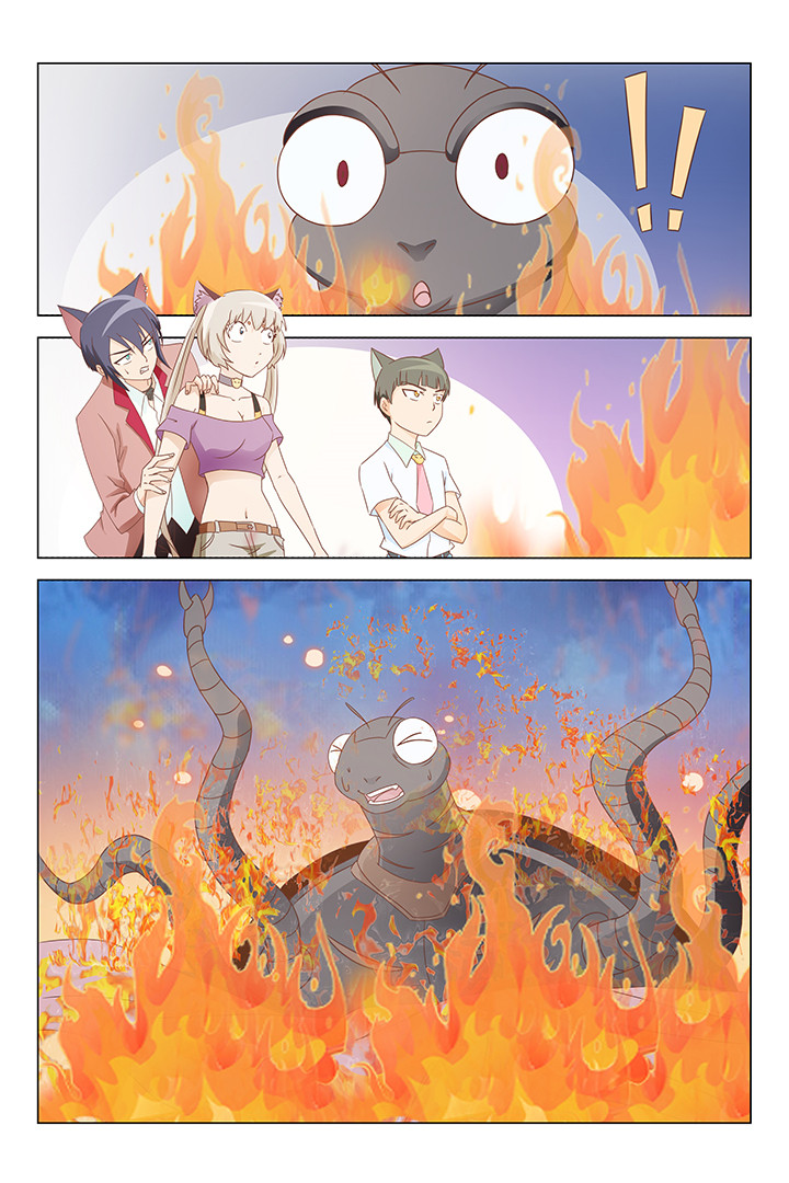 喵喵即正义视频漫画,第139章：2图