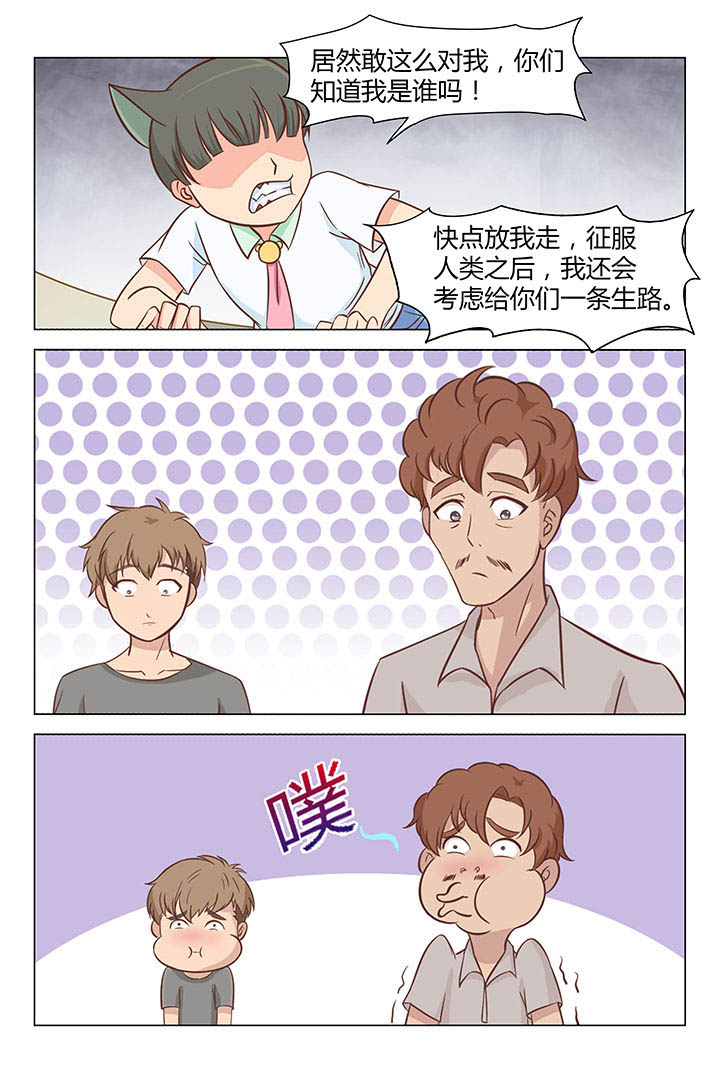 喵星人的喵星漫画,第33章：2图