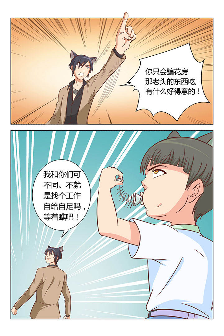 喵喵即正义视频漫画,第43章：3图