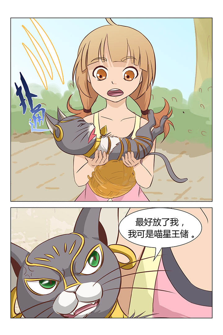 喵喵喵漫画,第19章：4图