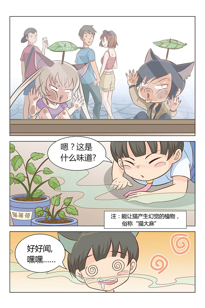 喵喵喵漫画,第8章：1图