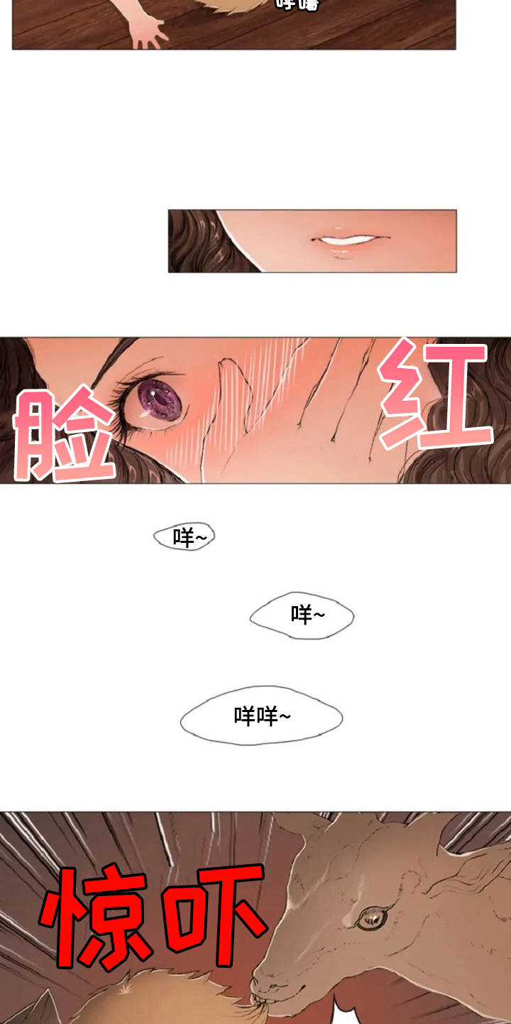 第3章：闪耀的星星4