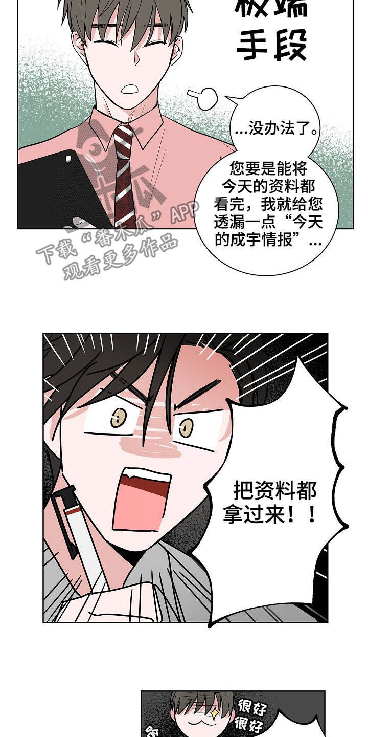 猫猫攻防战漫画,第23章：加班4图
