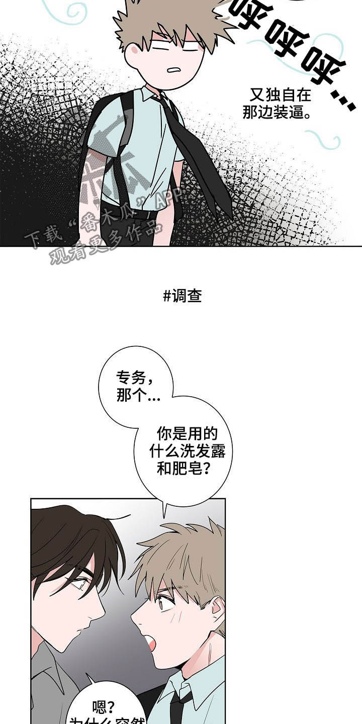 猫猫攻防战漫画,第26章：发型5图