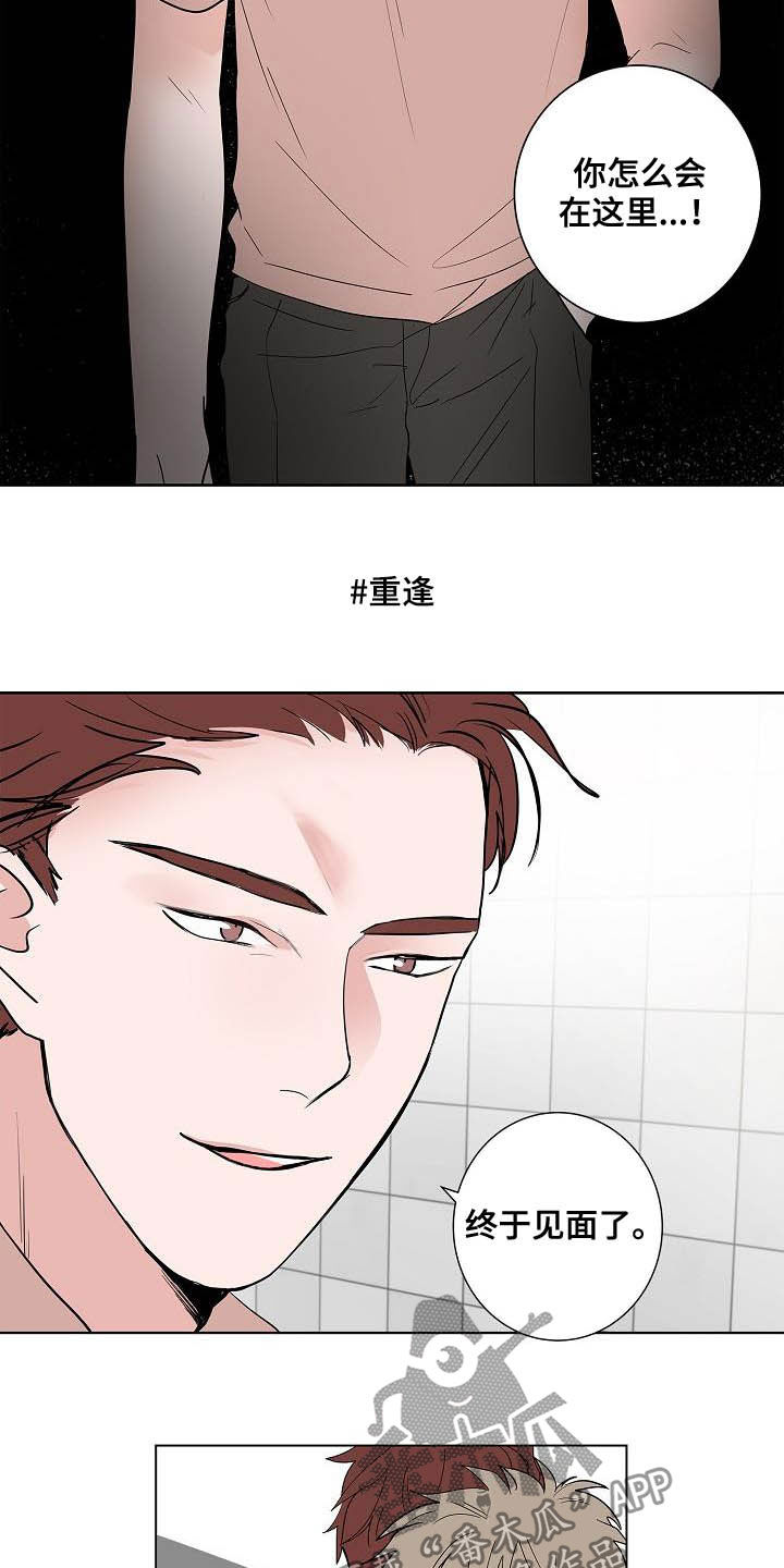 猫狗公式均值不等式漫画,第46章：重逢3图