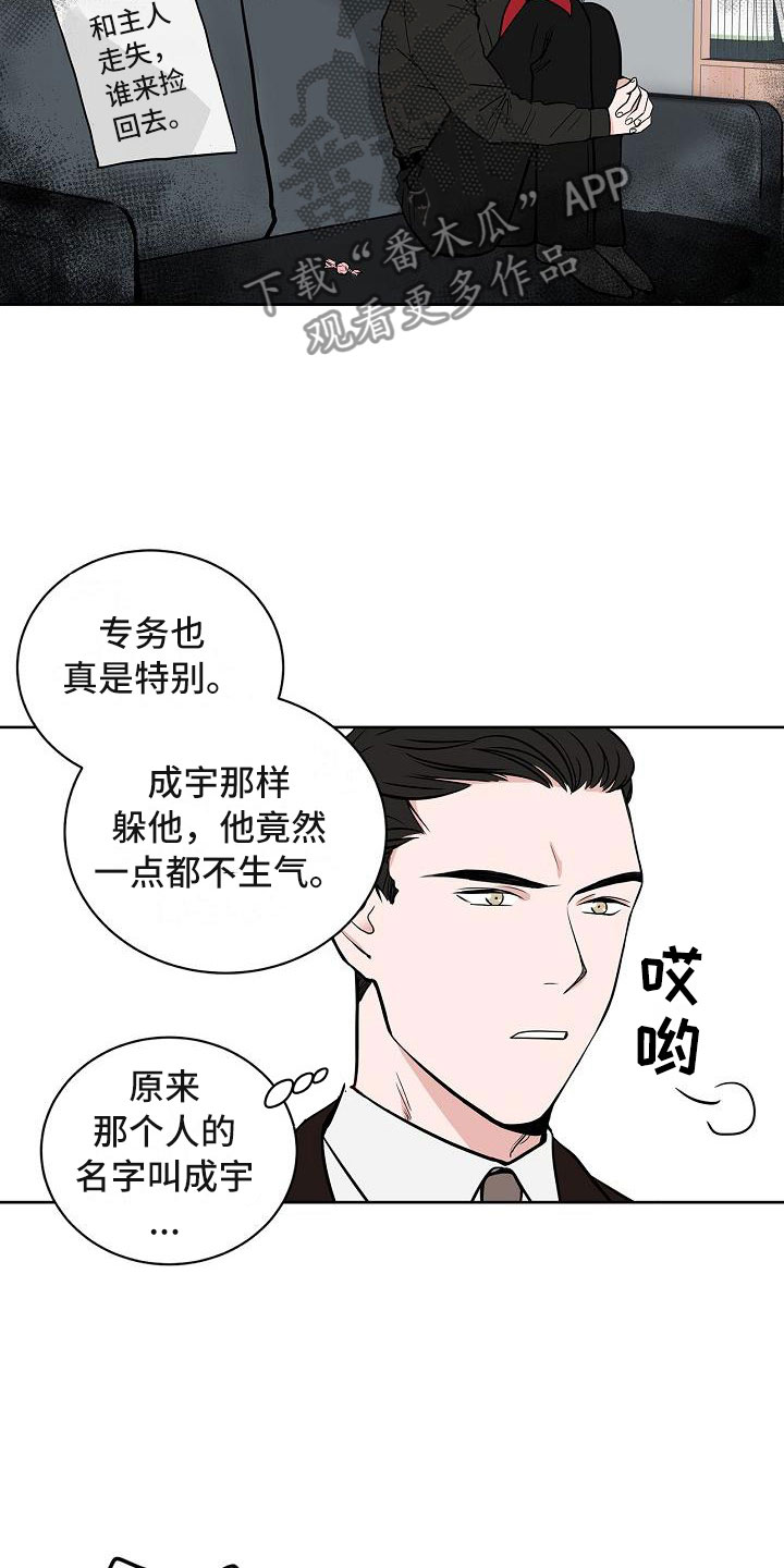 猫狗大战实战漫画,第6章：体贴2图