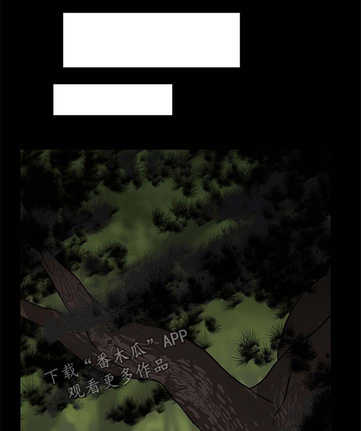第50章：我来帮你0
