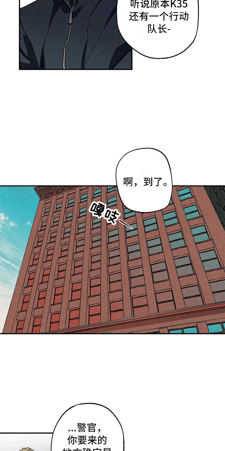 狂沙肆虐胡杨的视频漫画,第11章：我想要的5图
