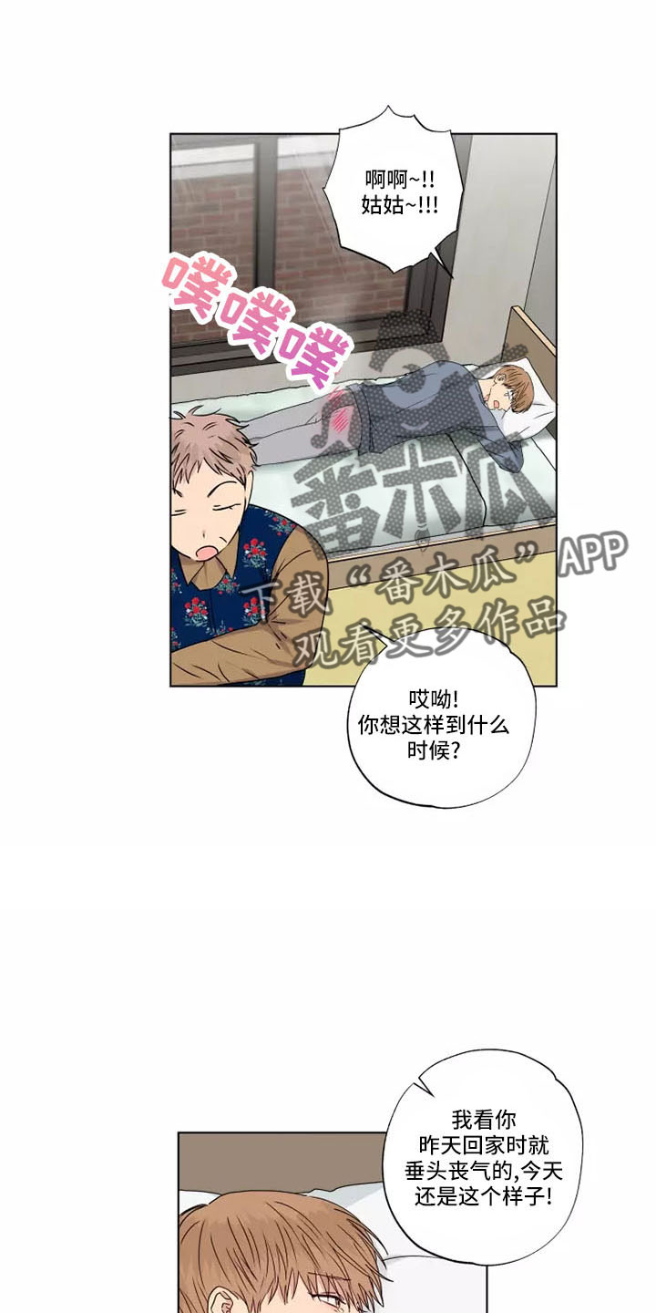 雨中飘荡的回忆原唱刀郎漫画,第43章：赶紧和解吧4图
