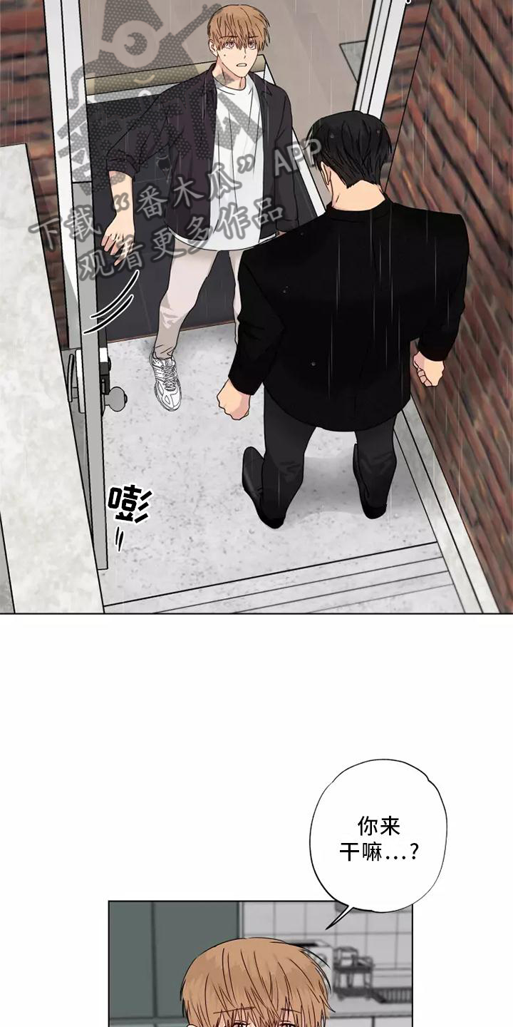 雨中飘荡的回忆原唱刀郎漫画,第38章：质问5图