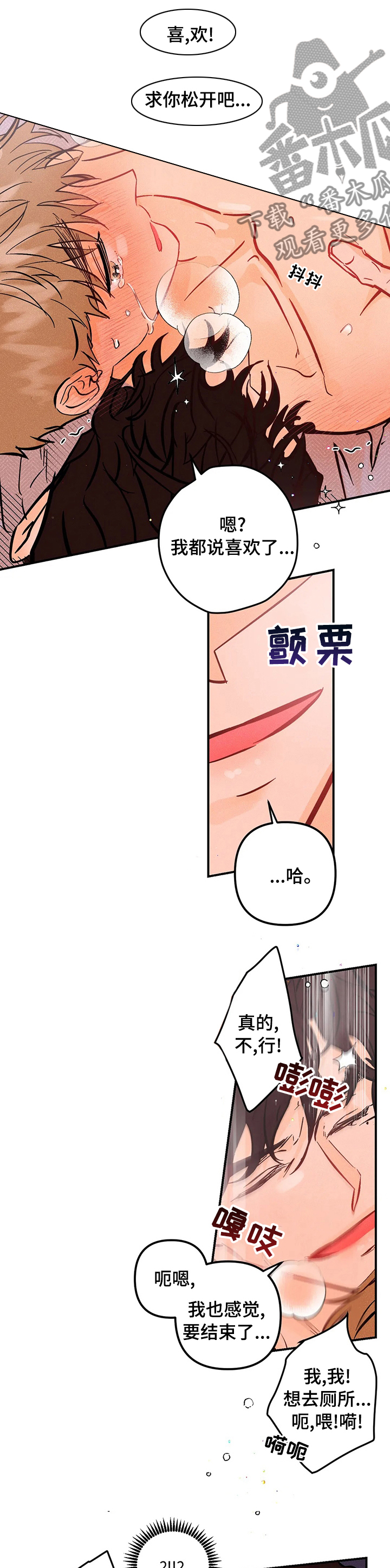 爱的赞歌吉他漫画,第48章：小松鼠4图