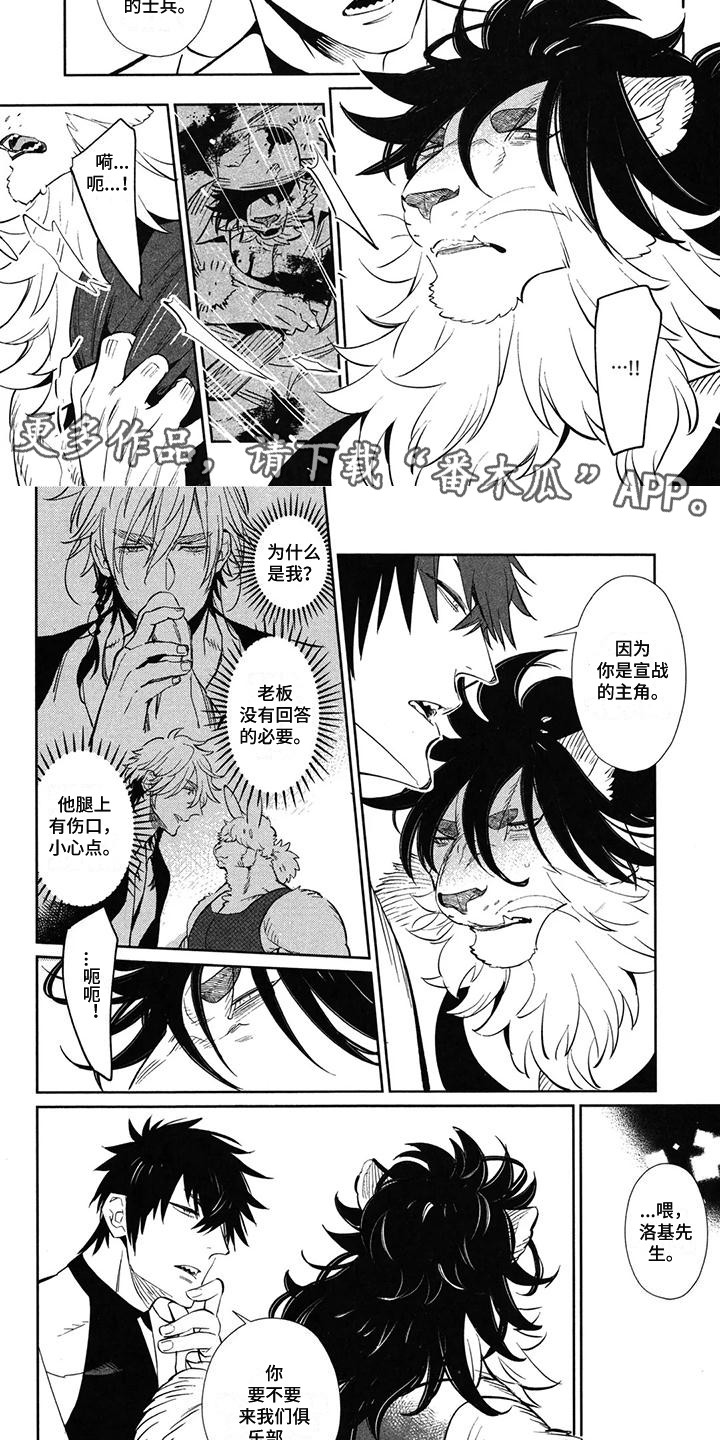 雄狮养成计划具体内容漫画,第11章：怂恿5图