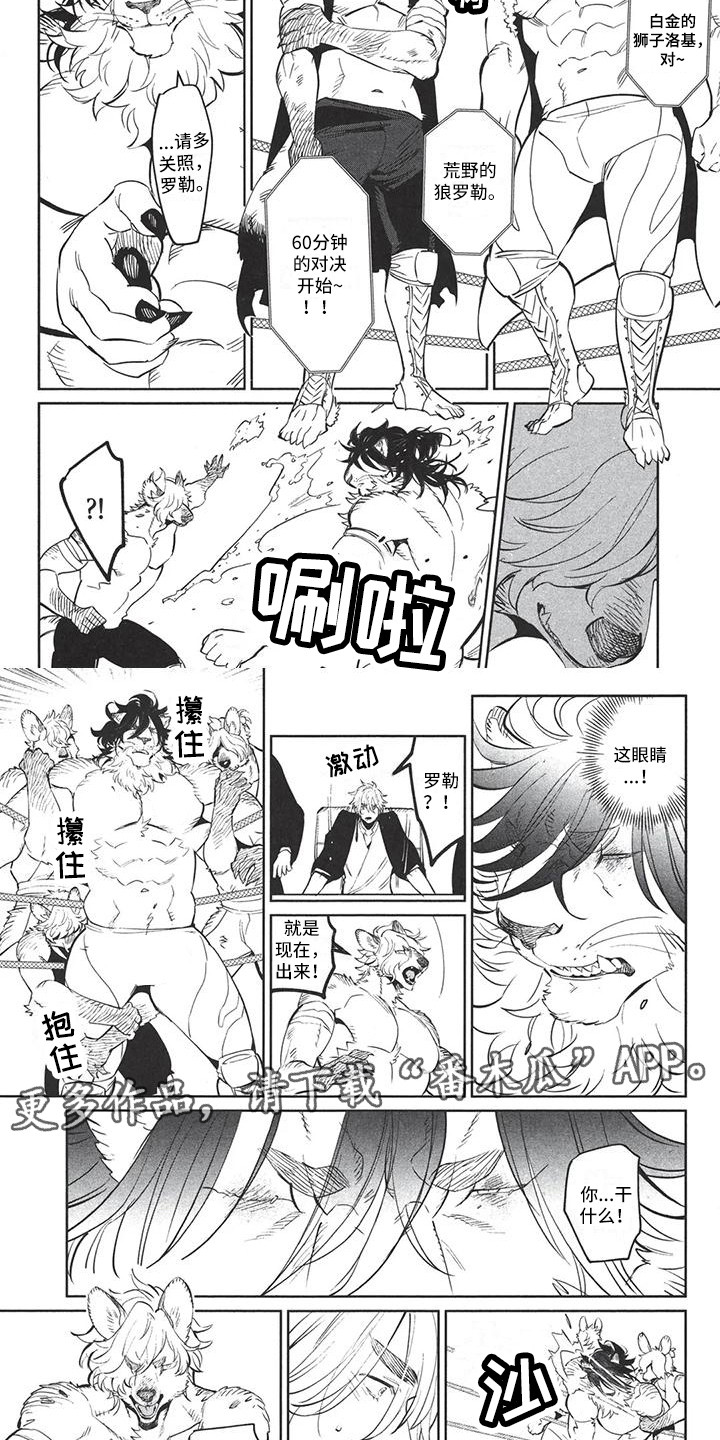 第5章：不会背叛1