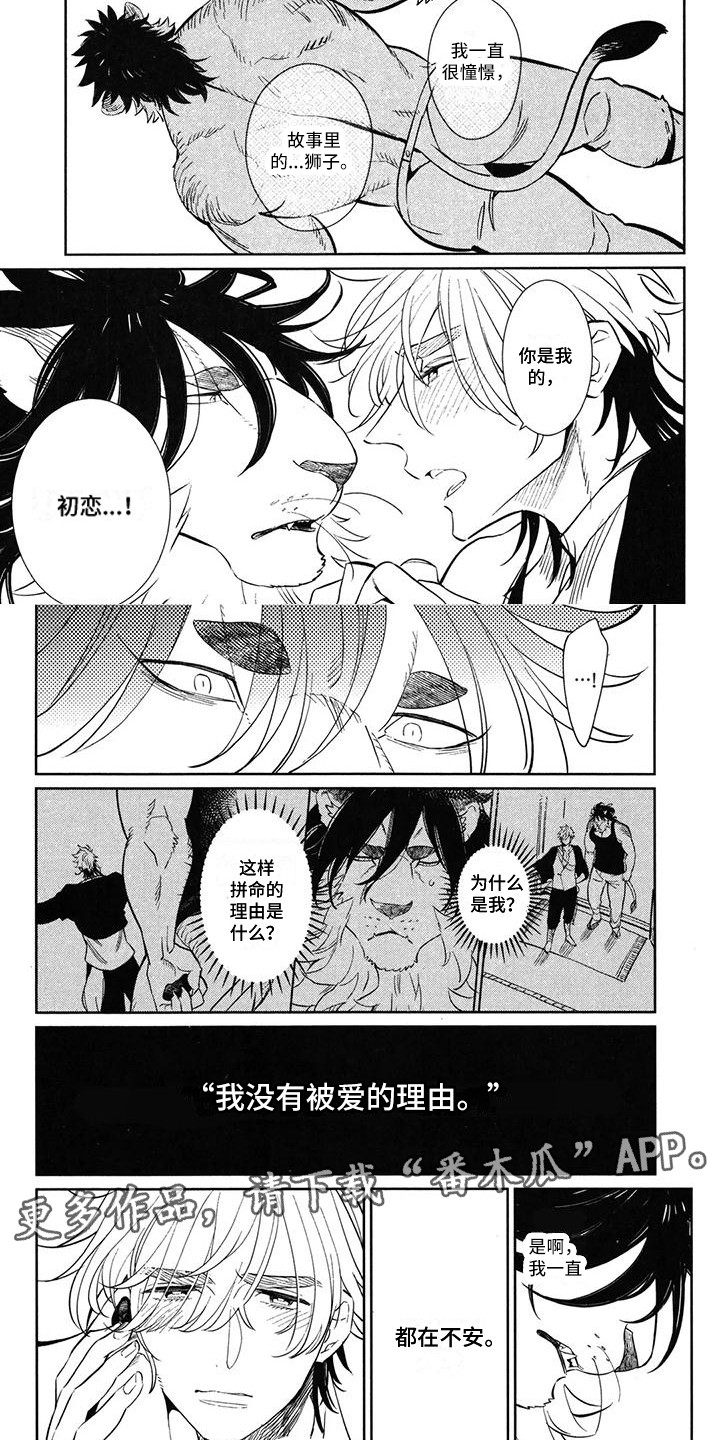雄狮养成计划具体内容漫画,第14章：原谅你2图