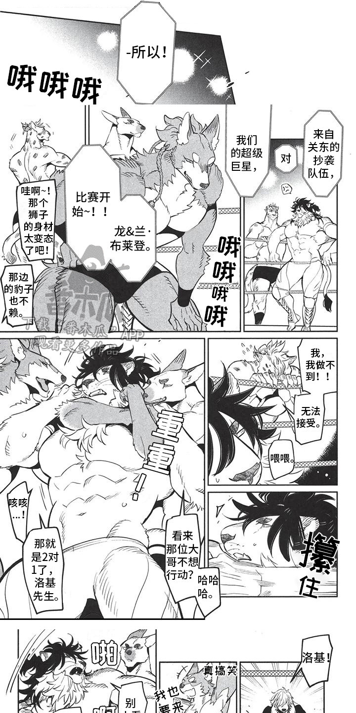 雄狮养成计划具体内容漫画,第9章：另类决斗1图